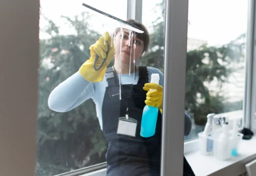Nettoyage de vitres intérieures et extérieures à Vogüé